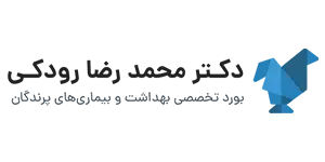دکتر رودکی